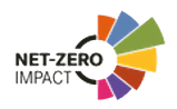 Net zero